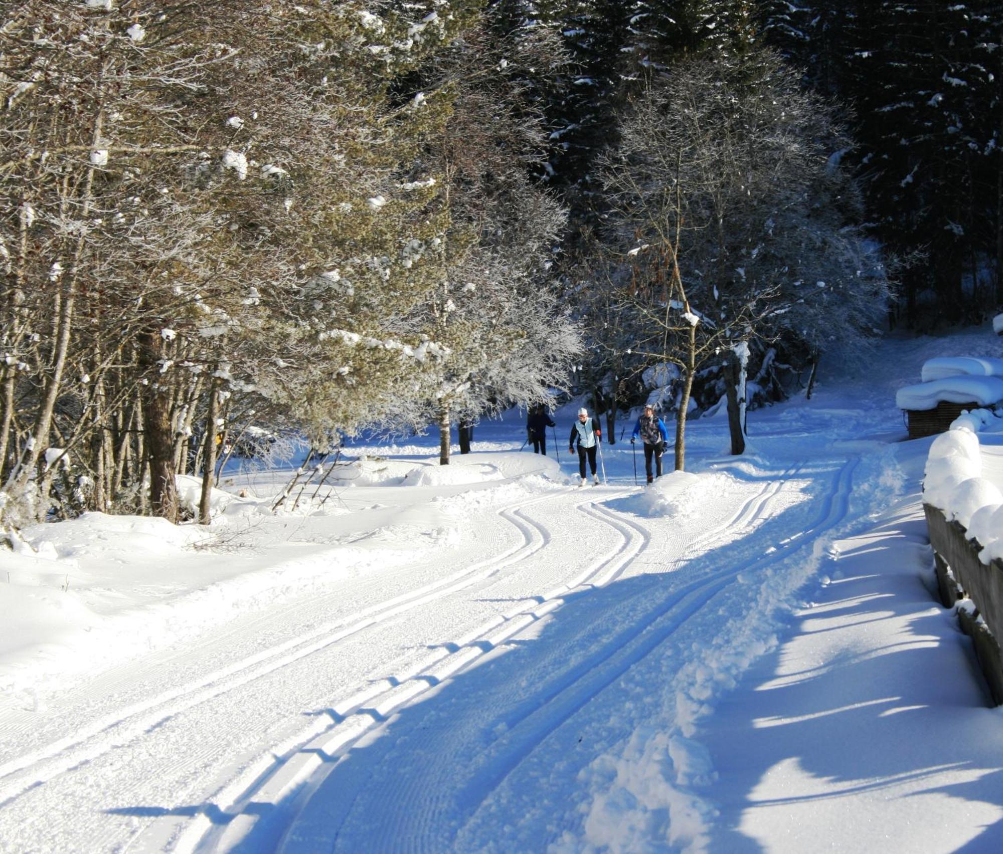 Alpen Gasthof Apartments Hohe Burg Trins Luaran gambar